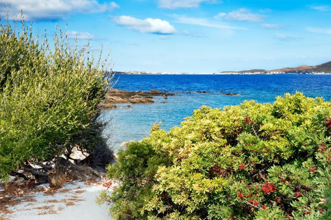 Hotel Baia Aranzos Pittulongu 外观 照片